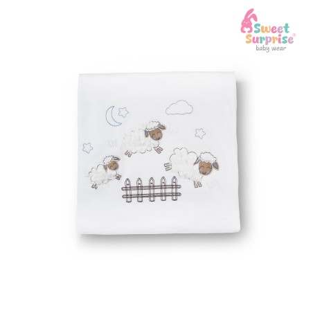 Yenidoğan Uyuyan Kuzular Hastane Çıkış Seti 10'lu