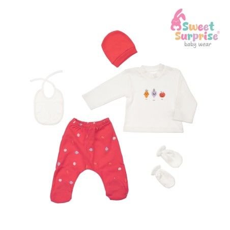 Yenidoğan Tatlı Sebzeler Hastane Çıkış Seti 5'li