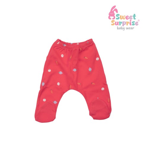 Yenidoğan Tatlı Sebzeler Hastane Çıkış Seti 5'li