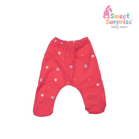 Yenidoğan Tatlı Sebzeler Hastane Çıkış Seti 5'li