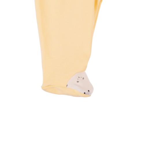 Yenidoğan Kutup Ayısı Sarı Hastane Çıkış Seti...